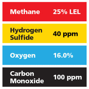 Gasco Multi-Gas 485: 25% LEL Methane, 16% Oxygen, 100 ppm Carbon Monoxide, 40 ppm Hydrogen Sulfide, Balance Nitrogen